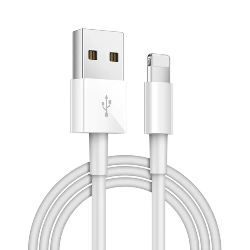 1m สายชาร์จข้อมูล USB สําหรับ iPhone 6 6S 7 8 Plus X XR XS 11 Pro Max 5S 5C 5 SE สําหรับ iPad mini 2 3 Fast USB Charger สาย