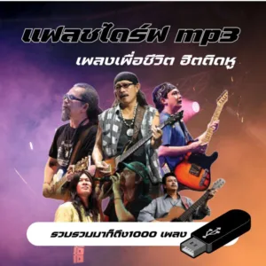 เพลงเพื่อชีวิต MP3 แบบแฟลชไดร์ฟ รวมผลงานเพลงเพื่อชีวิตที่ฮิตตลอดกาล