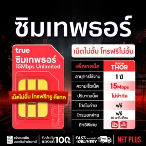 เบอร์สวย (ชุด2) ซิมเทพธอร์ เน็ต15Mbps ไม่อั้น ไม่ลดสปีด Unlimited 1 ปี ทรูไม่อั้น โทรฟรีทุกค่าย 60นาที/เดือน # NET PLUS