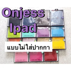 Smart case Onjessแท้ 100% ipad4