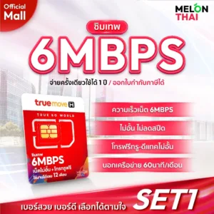 TRUE เลือกเบอร์ได้ SET1 ซิมเทพ 6Mbps ซิมเน็ตไม่อั้นโทรฟรีในทุกเครือข่ายจ่ายครั้งเดียวใช้ได้ 1ปีซิมเน็ตรายปีMelonThaiMall